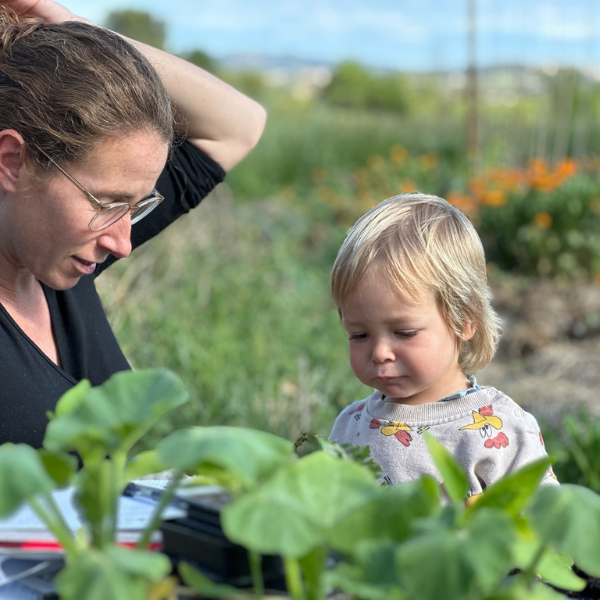 bosc semiso imatges 4