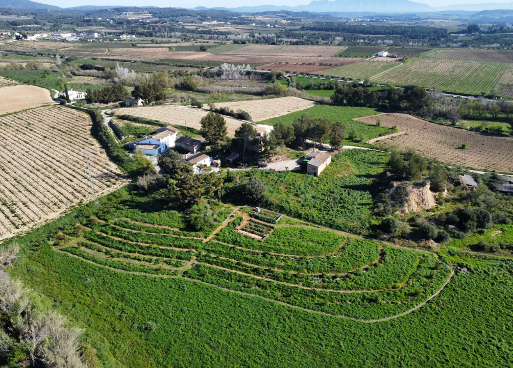 bosc semisó projecte